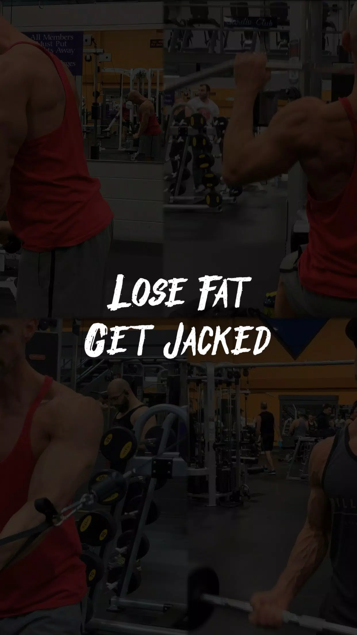 Lose Fat Get Jacked Screenshots