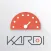 KARDI LiTE 智慧行車教練