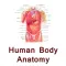 Human body anatomy tips hindi