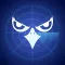 Eagle Eyes Navy