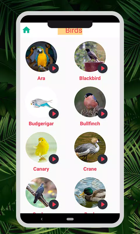 Animal & Bird Sounds Screenshots