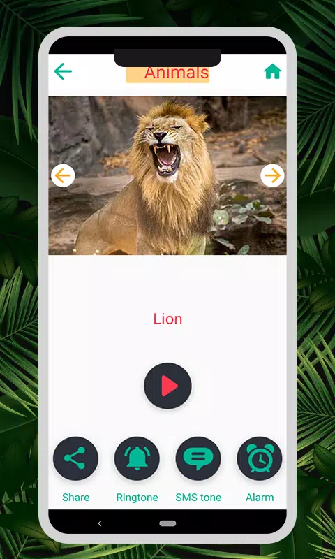 Animal & Bird Sounds Screenshots