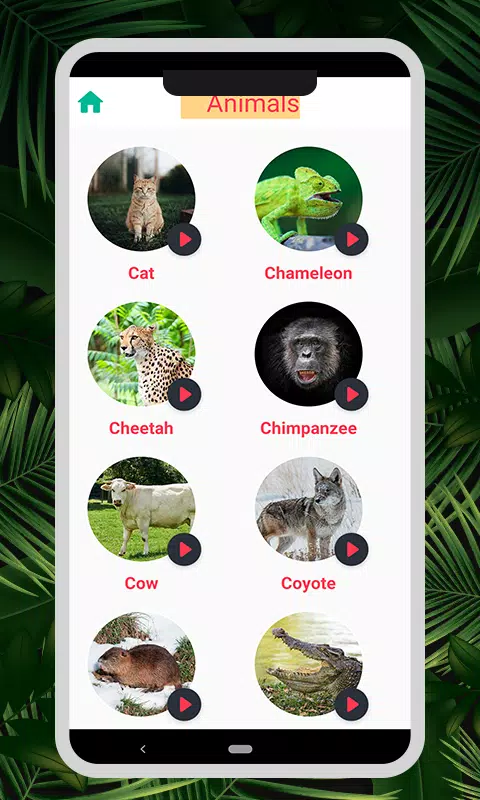 Animal & Bird Sounds Screenshots