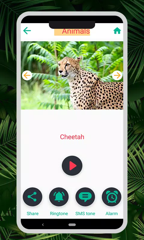 Animal & Bird Sounds Screenshots