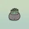 Smiley Succulents
