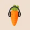 Setlist Carrot - Setlist.fm