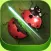 Amazing Bug Slicer Ninja: Bonsai War Heroes