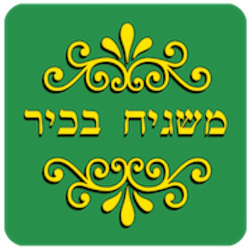 משגיח בכיר