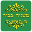 משגיח בכיר