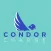Condor Energy