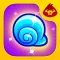 Seashell Shore