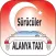 Alanya Taxi - Driver