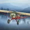 Airplane Fly Bush Pilot