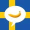 Swedish Picture Dictionary