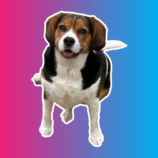Evie Stickers Evie Stickers