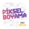TRT Piksel Boyama
