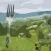 Walk and Fork