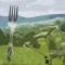 Walk and Fork