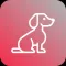 What Dog: What is your dog?