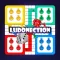 Ludonection Pro