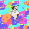有点怪猫
