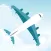 Kansai Airport Flight Status