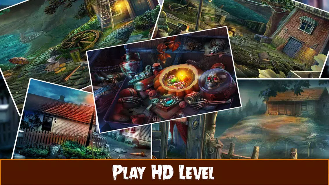 Hidden object: the silent town pro स्क्रीनशॉट
