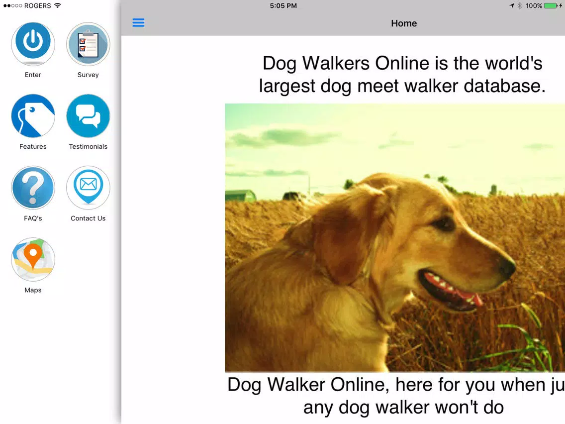 Dog Walker Online iPad Screenshots