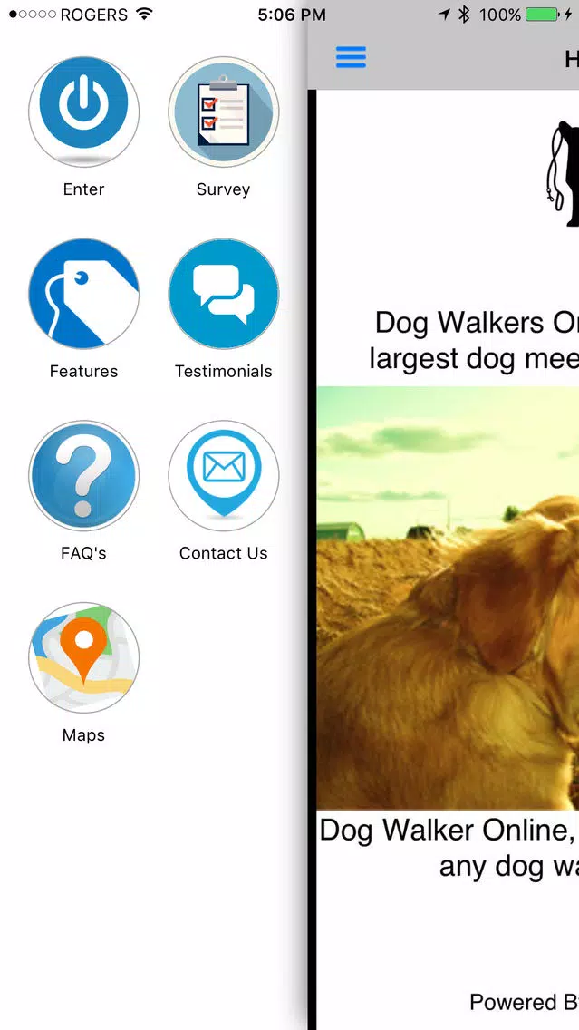 Dog Walker Online Screenshots