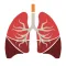 Little Lives: Tobacco Effects
