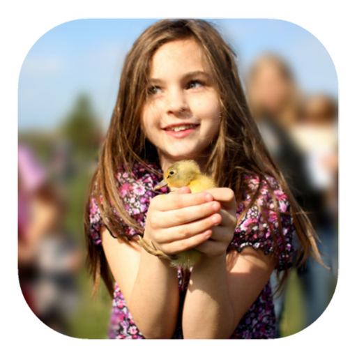 Blur Photo Background
