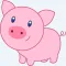 Funny Pig