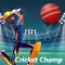 Cricket Champ - World Cricket