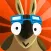Armadillo Adventure: Draw & Roll