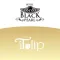 Black Tulip/Pearl