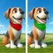 Find The Difference: Cartoon