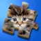 Super Jigsaws Kittens