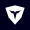 Turing Vision: Video Security