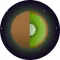 KiWi Habit App