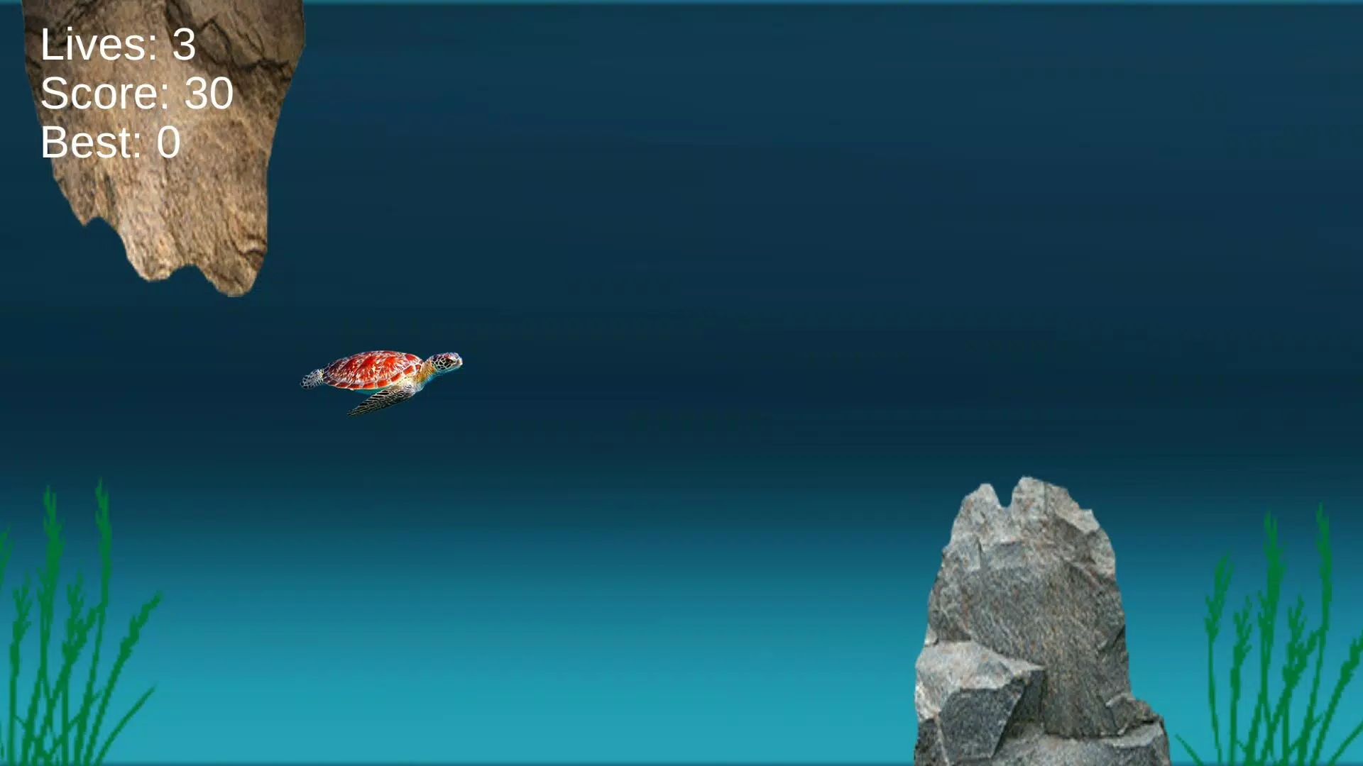 Turtle Run: Ocean Adventure Screenshots