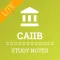 CAIIB Study Notes Lite