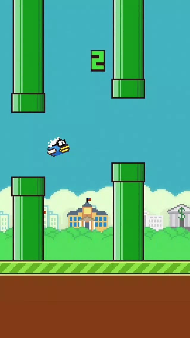 Flappy Bernie應用截圖