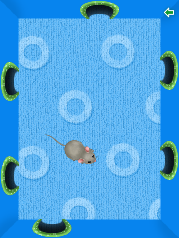 Play, Cat, Play iPad  스크린샷