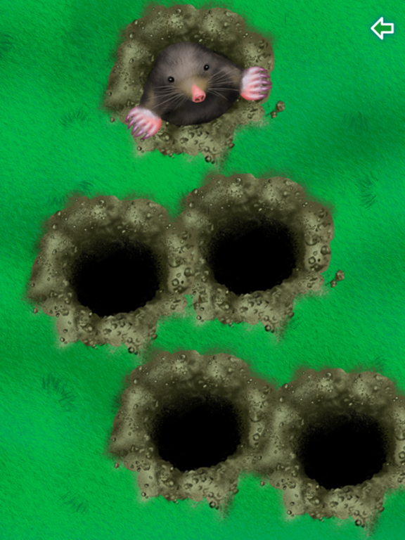 Play, Cat, Play iPad  스크린샷