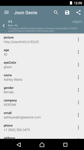 Json Genie PREMIUM (View/Edit) Screenshots