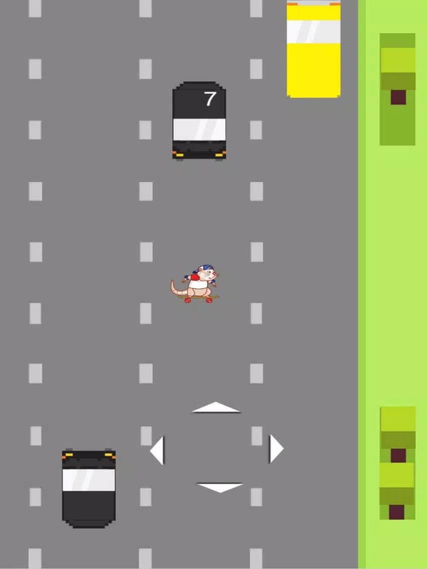 صور Skateboard Rat iPad 