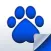 Pets, Dogs & Cats Report Card