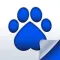 Pets, Dogs & Cats Report Card