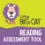 Big Cat Reading Assessment 1.3