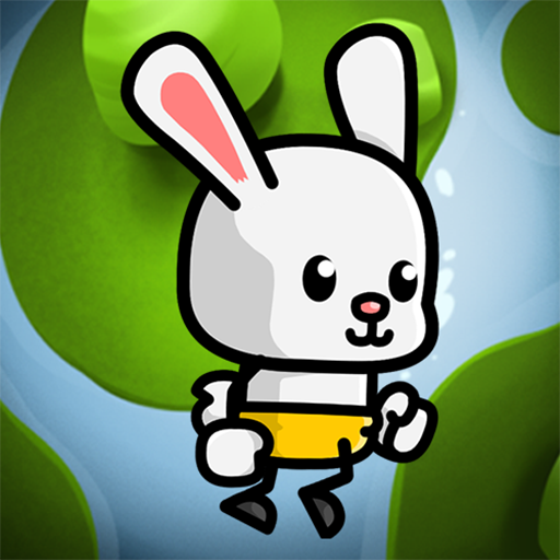 Animal Run